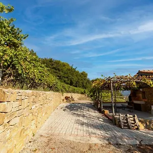Casetta Mari Immersa In Un Vigneto Hébergement de vacances Dolceacqua